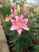 [5261 Benson No01.JPG]